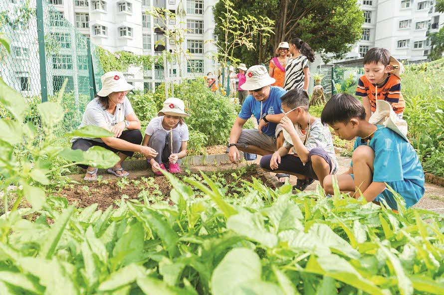 Community in Bloom Initiative