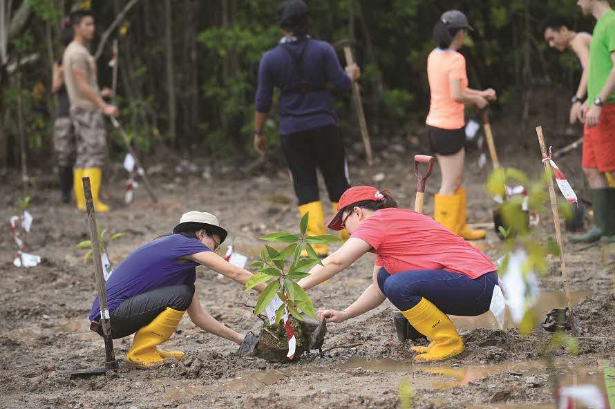 Friends of Ubin Network