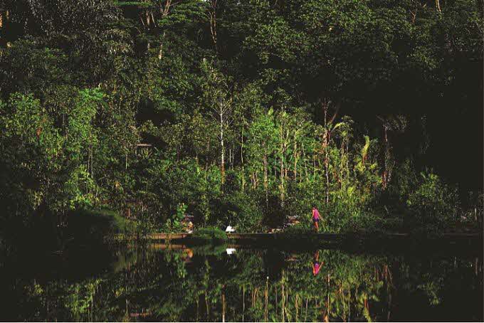 Keppel Discovery Wetlands