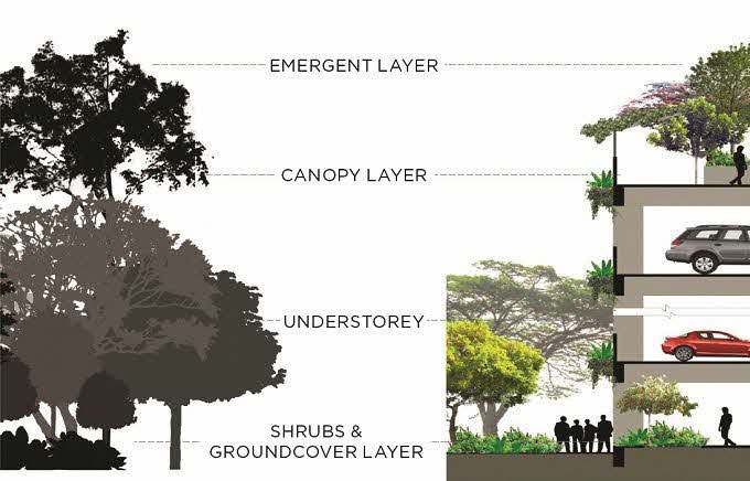 tropical rainforest structure in our urban landscape